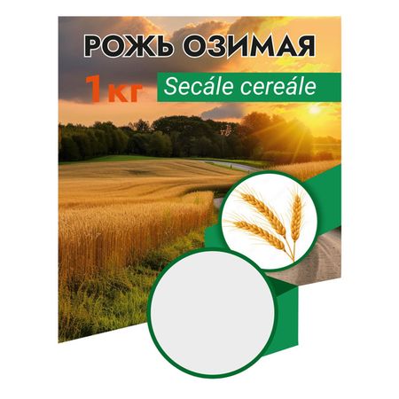 семена сидератов рожь озимая 1кг семена сидератов рожь озимая 1кг