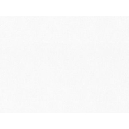 обои VILIA виниловые на флизелиновой основе 10,05х1,06м, арт.Ф10-10 1825-21 обои vilia виниловые на флизелиновой основе 10 05х1 06м арт ф4 10 1775 22