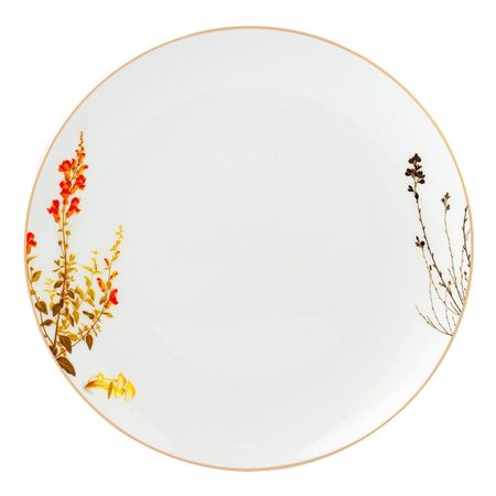 тарелка ZAPEL Mushroom 27см обеденная костяной фарфор комплект мерч little mushroom aurora hug nbyinto