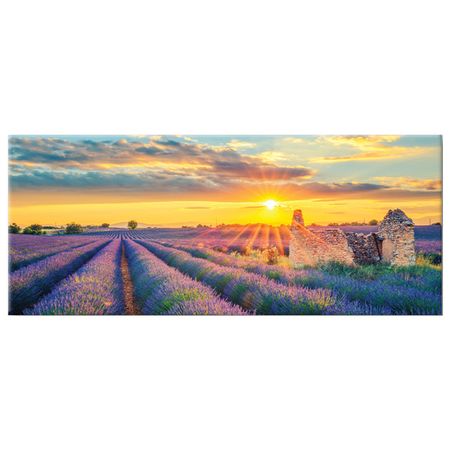 картина на холсте ЛАВАНДОВОЕ ПОЛЕ 450х1150мм постеры с животными на холсте