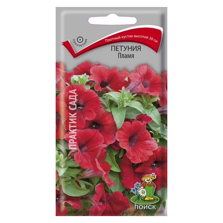 семена Петуния Пламя ПОИСК 0,1г семена цинния алое пламя дом семян 0 22г