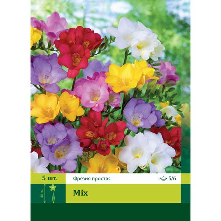 луковица Фрезия простая смесь 5/6 5шт. простая плата разработки плк на базе платы расширения wi fi esp32 es30f27 для разработки шины rs485 i2c spi