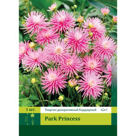 корень Георгин бордюрный Парк Принцесс 1шт. семена цинния парк принцесс дом семян 2 5г