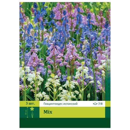 луковицы растений Гиацинтодес Испанский Смесь 7/8 (3) луковицы растений нарциссы смесь крупнокорончатых крупнокорончатый венец 12 14 2шт