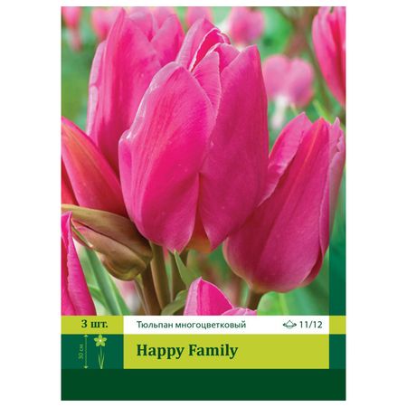 луковицы растений Тюльпан Хэппи Фэмели 12/14 (3) тюльпан дарвинов гибрид ред импрешн луковицы 10 11