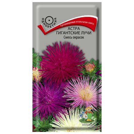 семена Астра Гигантские лучи Смесь окрасок ПОИСК 0,3г гигантские камуфляжные гелиевые шары ysoihf