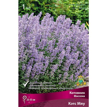 корень Котовник Фассена Кэтс Мяу 1шт