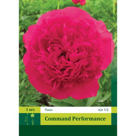корень Пион Комманд Перфоманс 1/2 1шт.