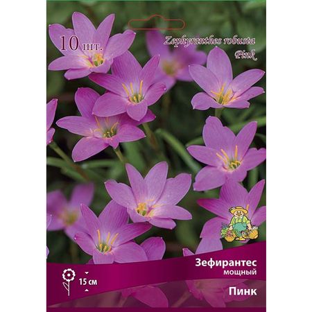 луковицы Зефирантес мощный Пинк 10шт osite sky мощный перезаряжаемый фонарик