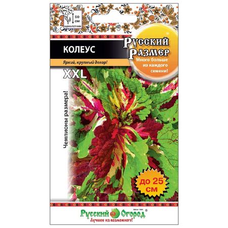 семена Колеус Русский Размер 4шт семена гавриш дайкон соловей разбойник 1 0 г русский богатырь