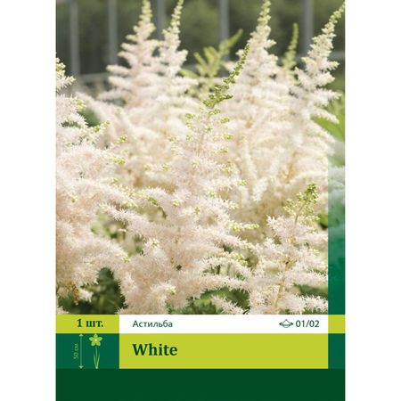 корень Астильба Вайт 1/2 1шт.