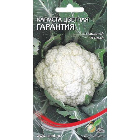 семена капуста цветная ДОМ СЕМЯН Гарантия 60шт нефростен таблетки п о плен 60шт
