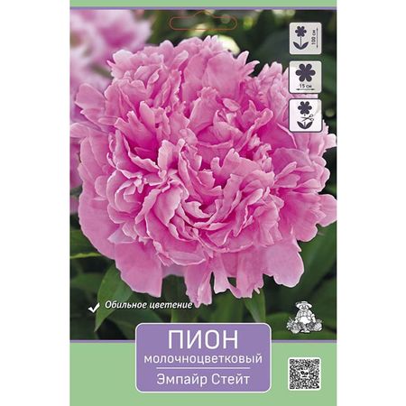корень Пион молочноцветковый Эмпайр Стейт 1шт в капере классик