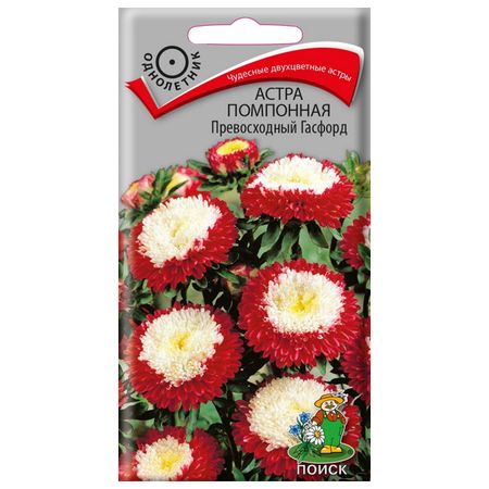 семена Астра помпонная Превосходный Гасфорд ПОИСК 0,3г семена астра помпонная агрони 0 2г xs