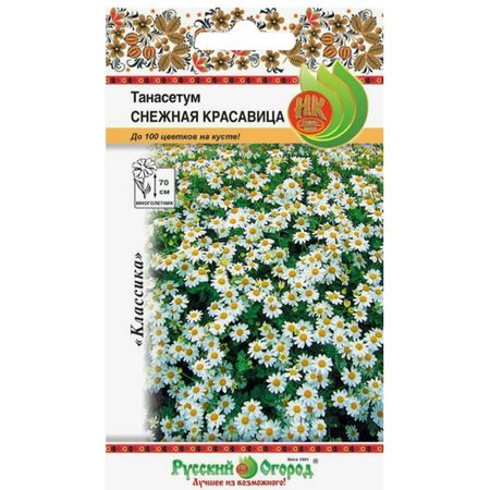 семена Танасетум Снежная красавица 0,01г украшение снежная королева ветка заснеженная 75 см
