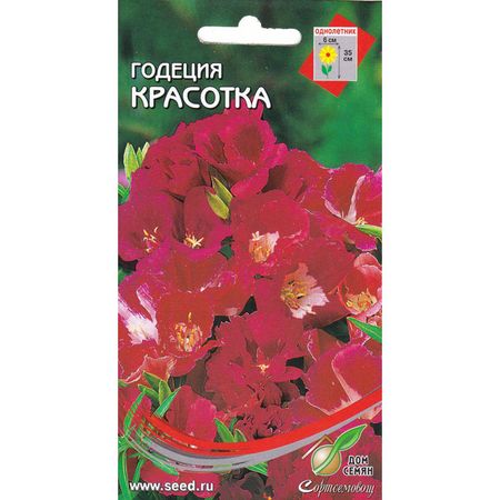 семена годеция ДОМ СЕМЯН Красотка 190шт