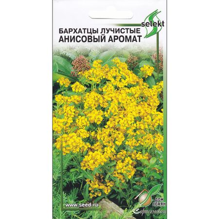 семена бархатцы ДОМ СЕМЯН Анисовый аромат лучистые 250шт семена бархатцы килиманджаро кремово белые дом семян 0 22г