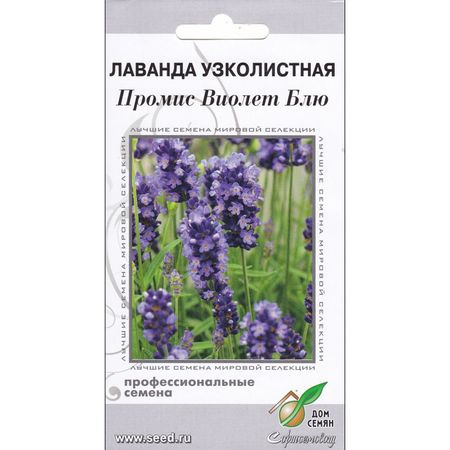 семена лаванда узколистная ДОМ СЕМЯН Промис Виолет Блю 7шт