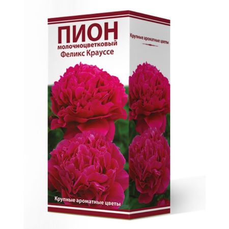 корень Пион молочноцветковый Феликс Крауссе 1шт в капере классик