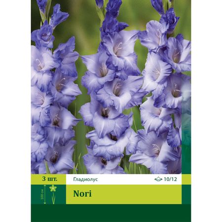 луковицы растений Гладиолус 10/12 3шт в ассортименте