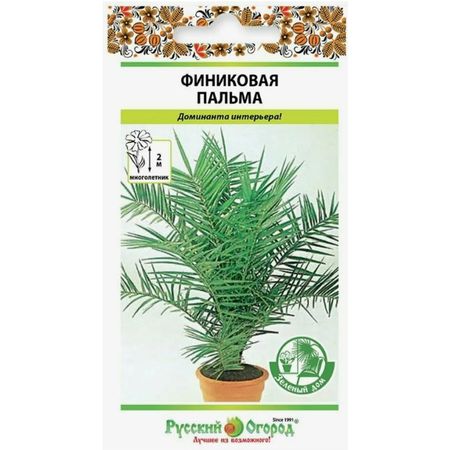 семена Пальма Финиковая 5шт искусственные растения мufu тропическая пальма 29 дюймов