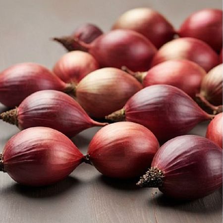 лук-севок Ред Барон 21/24  0,5кг