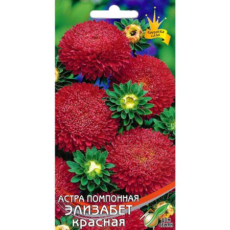 семена астра помпонная ДОМ СЕМЯН Элизабет красная 95шт семена астра помпонная агрони 0 2г xs