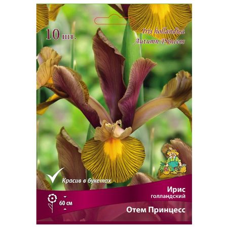 луковицы растений ирис голландский Отем Принцесс 10 шт. 6/7