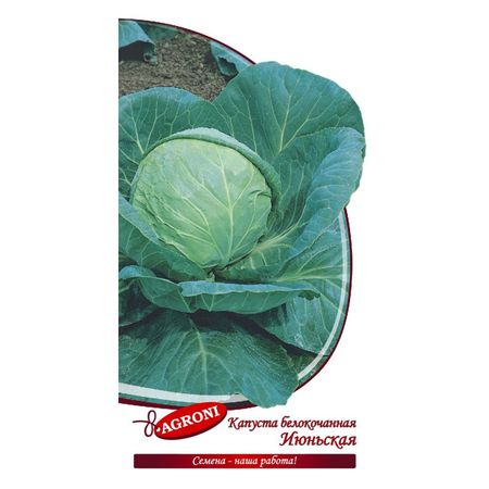 семена Капуста белокочанная Июньская АГРОНИ 0,5г