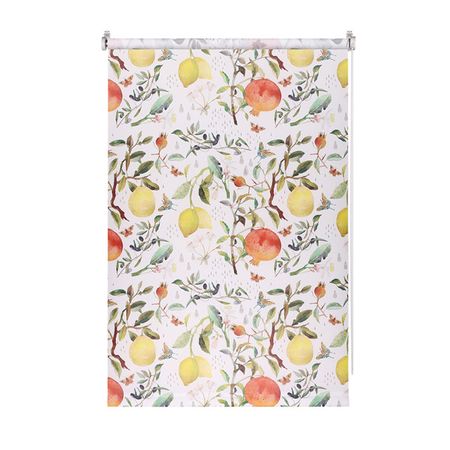 штора рулонная FG Принт светопроницаемая 50х160см фрукты, арт.9403217485