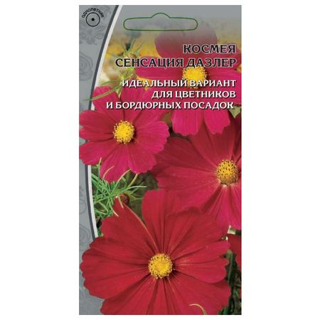 семена Космея Сенсация Дазлер 0,5 г семена космея сенсация дом семян 0 43г