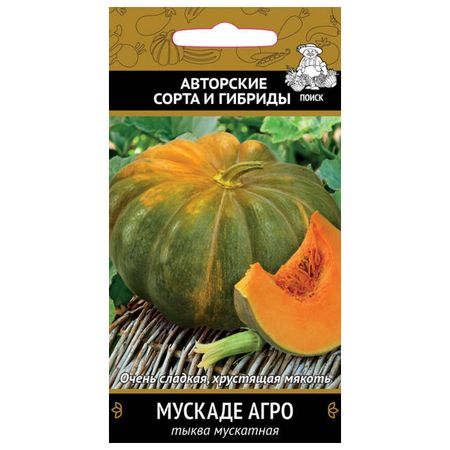 семена тыква мускатная Мускадэ Агро ПОИСК 10шт семена гавриш тыква барбара f1 мускатная 5 шт саката