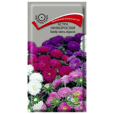 семена Астра низкорослая Ковер смесь окрасок ПОИСК 0,2г