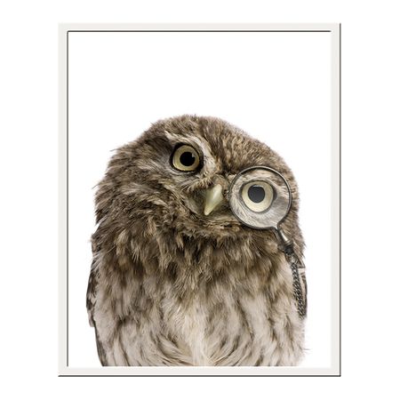 репродукция в раме ПОРТРЕТ СОВЫ 1 400х500мм бумага/полистирол миниатюрная статуэтка совы из канифоли