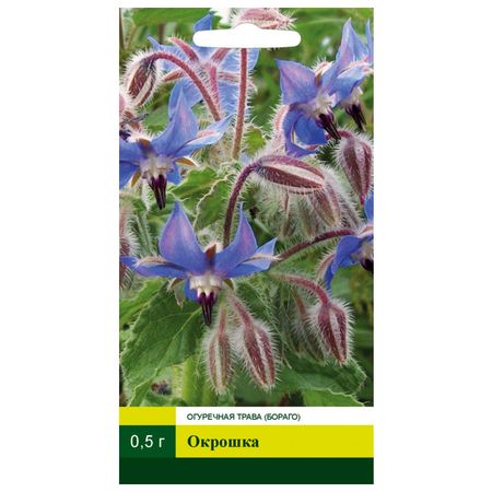 семена СЕВЕРНЫЙ ОГОРОД Огуречная трава (бораго) Окрошка 0,5г чистотела трава фильтр пакет 1 5г 20шт