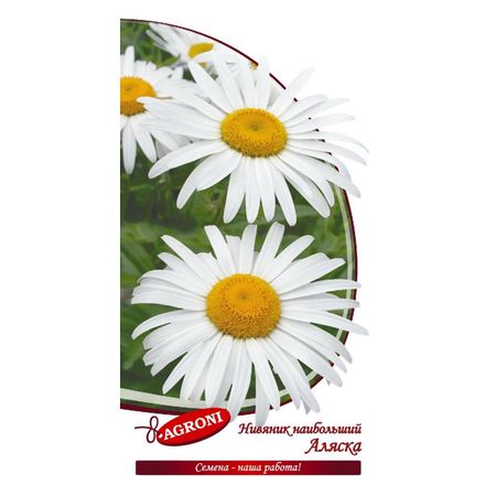 семена Нивянник наибольший Аляска АГРОНИ 0,1г