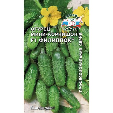 семена огурец Филиппок СЕДЕК F1, Евро, 0,3