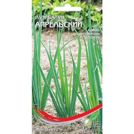 семена лук батун ДОМ СЕМЯН Апрельский 210шт семена лук батун апрельский 50 шт