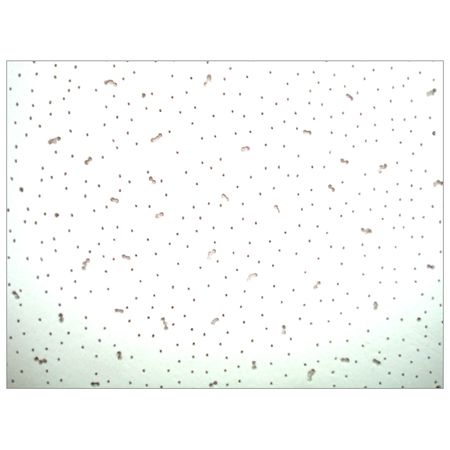 плита потолочная BESTENHAUS 600х600х6мм уп.22шт