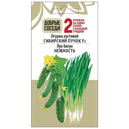 семена огурец Сибирский пучок F1 8шт Лук батун Нежность  0,3 г семена лук батун апрельский 50 шт