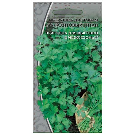 семена петрушка Малахитовый титан 2г