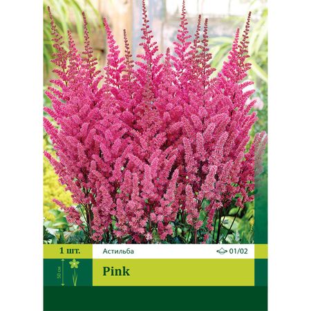 корень Астильба Пинк 1/2 1шт.