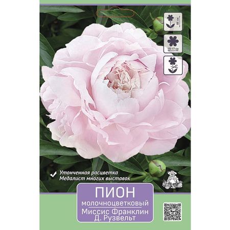 корень Пион молочноцветковый Миссис Франклин Д. Рузвельт 1шт в капере классик фигурки миссис клауса для рождественской елки