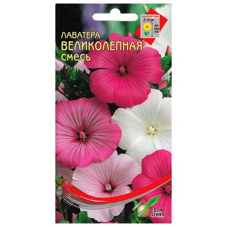 семена Лаватера Великолепная ДОМ СЕМЯН 0,38г