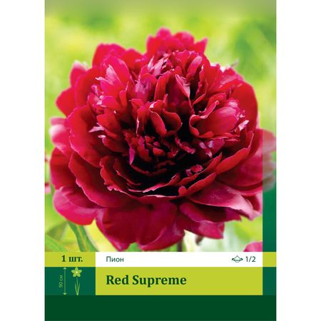 корень Пион Ред Суприм 1/2 1шт.
