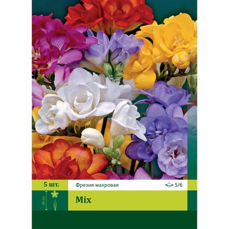 луковица Фрезии махровая смесь 5/6 5шт.