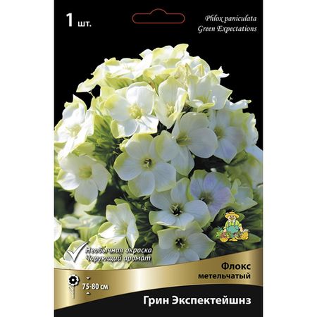 корень Флокс метельчатый Грин Экспектейшнз 1шт