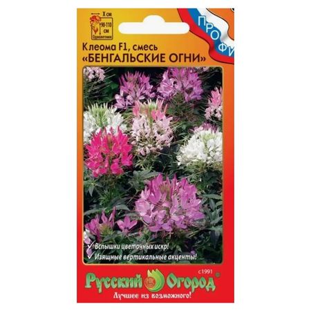 семена Клеома Бенгальские огни F1 смесь 5шт светодиодные тыквенные огни для хэллоуина