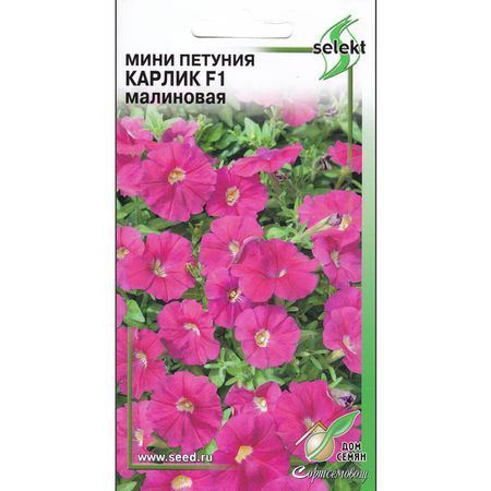 семена петуния ДОМ СЕМЯН Карлик малиновая 10шт семена петуния грандифлора суперкаскад бургунди 10шт