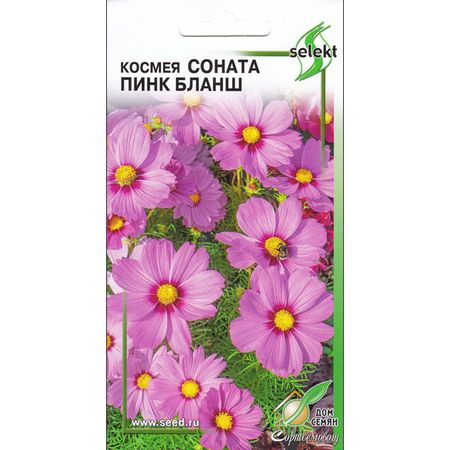 семена космея ДОМ СЕМЯН Соната Пинк Бланш 5шт семена космея сенсация дом семян 0 43г